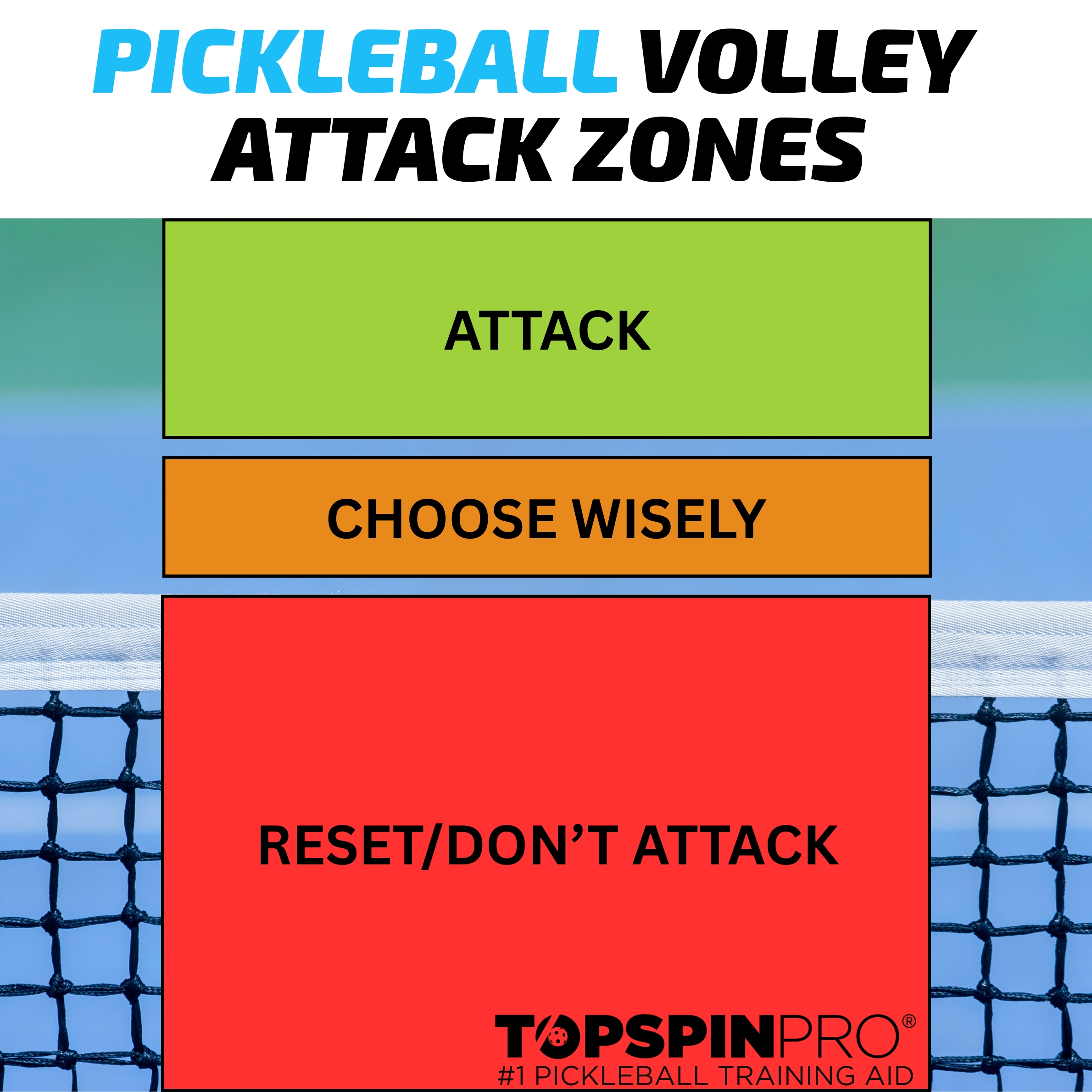 TopspinPro PICKLEBALL Infographics